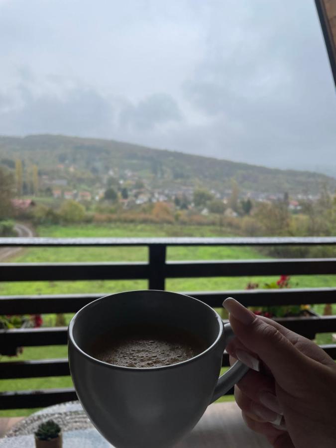 Vila Grujic Vrdnik Eksteriør billede